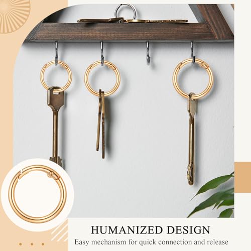Zonon 20 Pcs 1 Inch Gold Spring O Rings, Key Ring Clip, Round O Clip for Keys, Buckle, Bags, Purses Replacement Purse Ring Hardware, Keychain Lanyard, Home Car Keyrings Attachment DIY Crafts