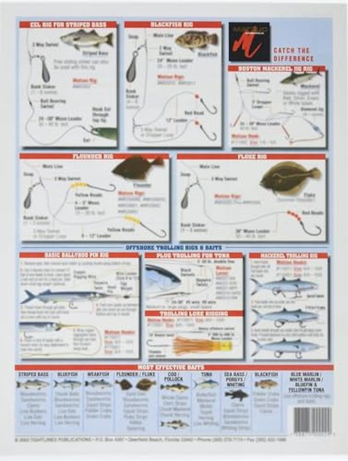 Fishermen's Northeast Bait Rigging #2 (Maine to The Carolinas) - Waterproof Quick Reference Guide | Portable & Built to Last | Double-Sided & Easy to Read | (Bottom Rigs, Bait Rigs, Trolling Rigs)