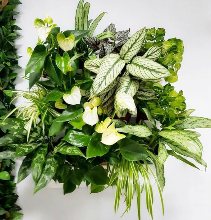 BOXSAND-12 Vertical Wall Planter