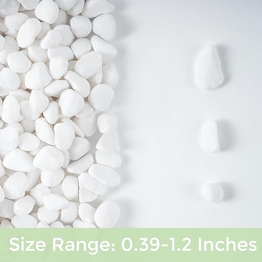 SIDONG 10 LB White River Rocks, 0.4-1.2 Inches Matte Pebbles for Indoor Plants, Aquarium Rocks Used in Fish Tank, Decorative Stones for Plants, Vases, Home Décor, Crafting, Garden Landscaping