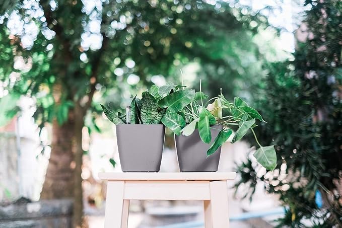 GARDENIX DECOR 5" Self Watering pots for Indoor Plants - Flower Pot with Water Level Indicator for Plants, Grow Tracking Tool - Self Watering Planter Plant Pot – 2 Pack Gray