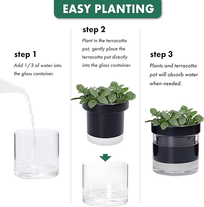 Phoenix Vine 4 Inch Self Watering Planter Pot, Black Terracotta Clay Pot with Glass Reservoir for Indoor Plants, Herbs, Flowers, Set of 3, 52-C-E-3