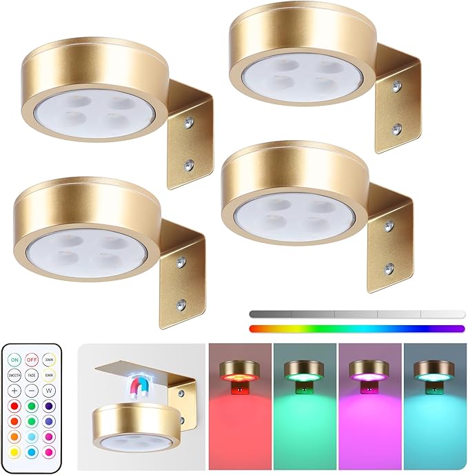 4-Pack Picture Light Battery Operated Painting Lights, 13 Color RGB Magnetic