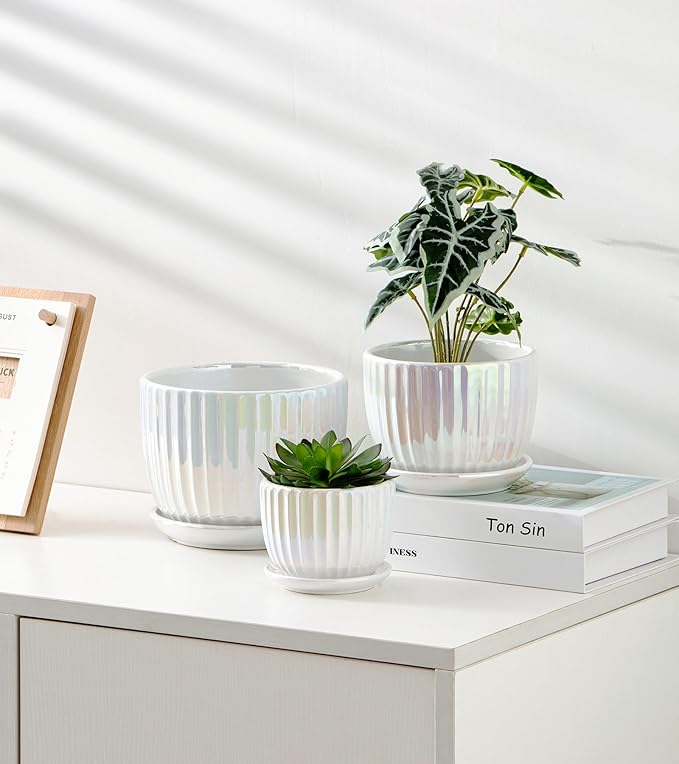 Ton Sin White Plant Pots,Pearl Gold Ceramic Flower Pots 4"+5"+6" Inch Indoor Succulent Pot with Drainage Hole - Decorative Orchid Pots and Herb Pots Set of 3