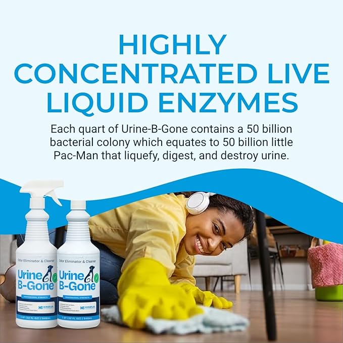 KINZUA ENVIRONMENTAL Urine B-Gone, Professional Enzyme Odor Eliminator & Pet Stain Remover, Human, Cat & Dog Urine Cleaner, Effective on Laundry, Carpets & More, Original Scent, 32oz, Pack of Two