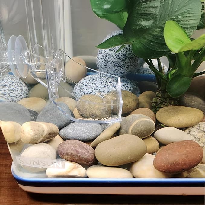 Natural River Rocks-20 lbs of Pebbles and River Stones,2-3 Inch Plant Rocks for Landscaping,Garden Paving,Crafting,Walkways,and Outdoor Decorative Stone,Mexican Beach River Rocks