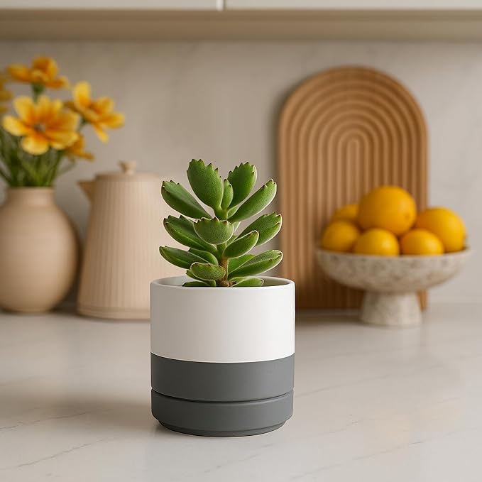 D'vine Dev Set of 2 Plants Pots, 4.7 Inch Ceramic Planter Pot for Plants with Drainage Hole and Saucer, White/Speckled Grey, 94-V-B-6
