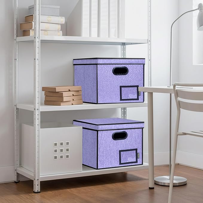 BALEINE File Organizer Box with Lid, Collapsible File Folder Organizer with Plastic Slide, Hanging File Folder Box for Office Document Storage (Tab Friendly, 1 Pack, Purple)