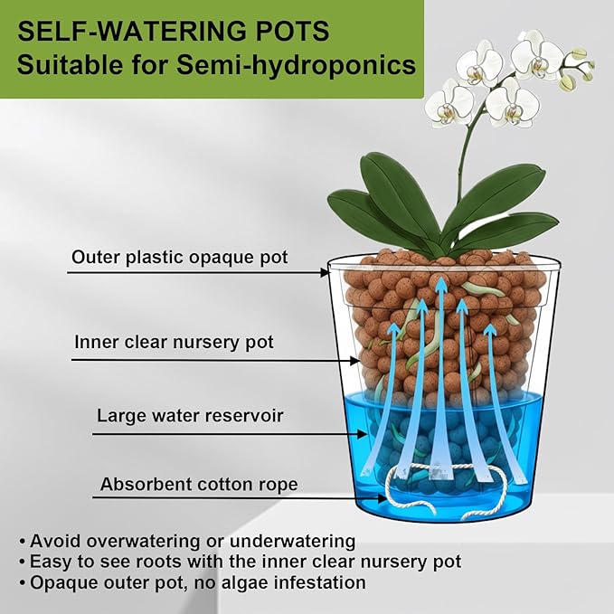 6 Pack of 6in Plastic Cachepot with 6 inch Clear nusery Pot - self Watering Indoor Planter with Drainage for Root Visibility,semi Hydro pots for repotting Monstera,Orchids,Aroid,White