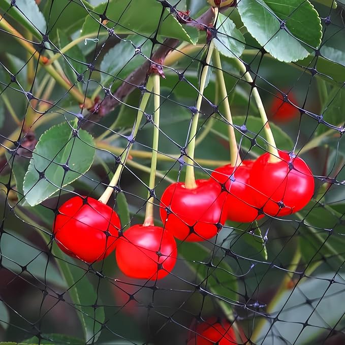 Bird Netting 13x20 FT – 3/4" Mesh Garden Netting for Plant Protection, Deer Fence Netting Against Birds, Squirrels, Rabbits, Raccoons & More – Protect Fruit Trees, Vegetables & Flowers