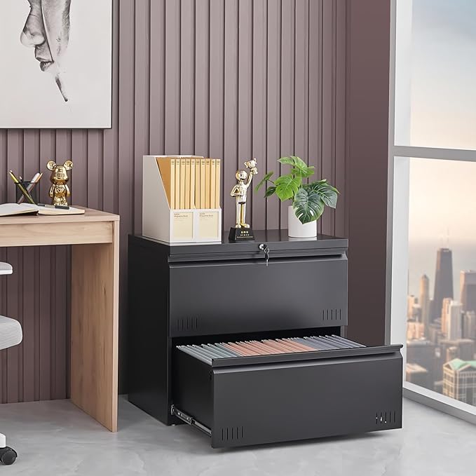 2 Drawer File Cabinet, File Cabinets for Home Office, Printer Stand, File Cabinet with Lock, Lateral Filing Cabinet for A4/Letter/Legal Size File Folders, Assembly Required(Black)
