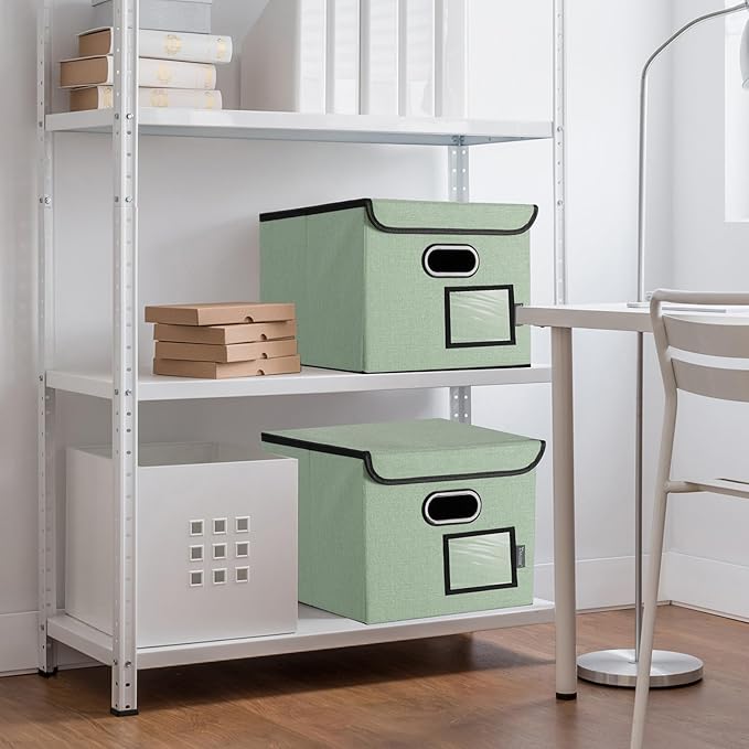 BALEINE File Organizer Box with Lid, Collapsible File Folder Organizer with Plastic Slide, Hanging File Folder Box for Office Document Storage (2 Pack, Green)