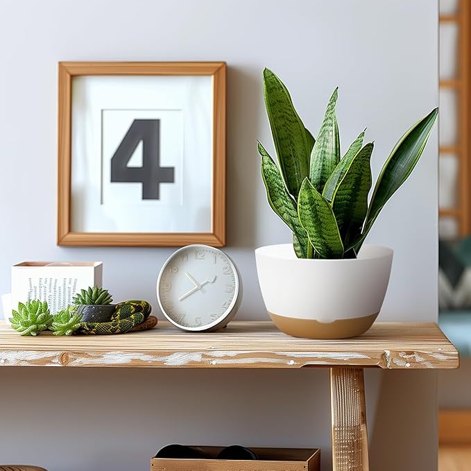 8/10/12 Inch Pots for Indoor Plants, Large Self Watering Planters with Drainage and Saucers, Plastic Outdoor Flower Pot, Set of 3, White