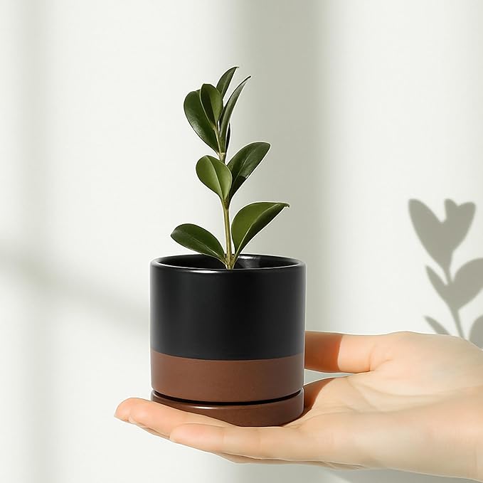 D'vine Dev Set of 2 Plants Pots, 3.5 Inch Ceramic Planter Pot for Plants with Drainage Hole and Saucer, Black/Speckled Tan, 94-V-A-7