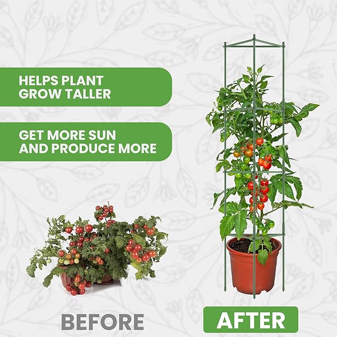68" Tomato Cage - Trellis Stakes and Plant Support Structures for Vegetables and Climbing Plants - Tall Tomato Cages for Garden, Pots, Raised Garden Bed Outdoor (6 Pack - Extra Tall)