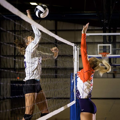 Champion Sports Volleyball Net Set - Durable Design for Competitive Play | Multiple Styles Available