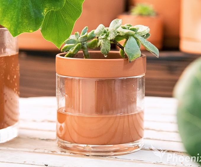 Phoenix Vine 4 Inch Self Watering Planter Pot, Terracotta Clay Pot with Glass Reservoir for Indoor Plants, Herbs, Flowers, Set of 3, 52-A-E-3