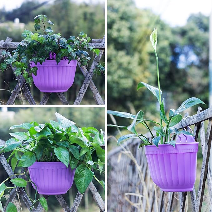 6 Pack Colorful Wall Hanging Planters
