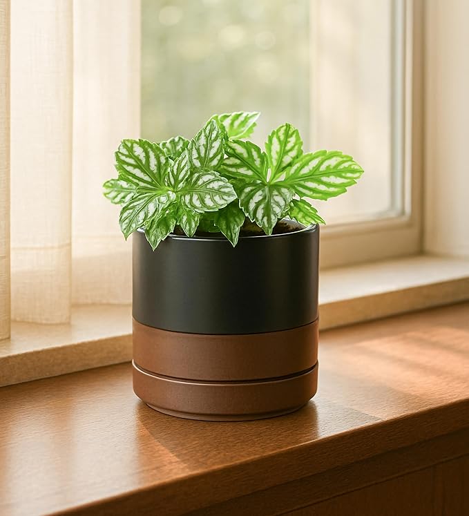 D'vine Dev Set of 2 Plants Pots, 4.7 Inch Ceramic Planter Pot for Plants with Drainage Hole and Saucer, Black/Speckled Tan, 94-V-B-7