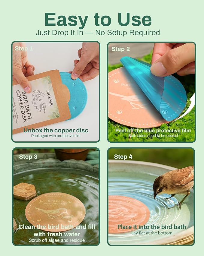 Bird Bath Purification Disk Pure Copper Outside Winter Solar Power Birdbath Hummingbird Window Garden Feeder Ground Bowl Cage Dispenser Pedestal Cleaner Water Fountain Garden Lover Gift Frog