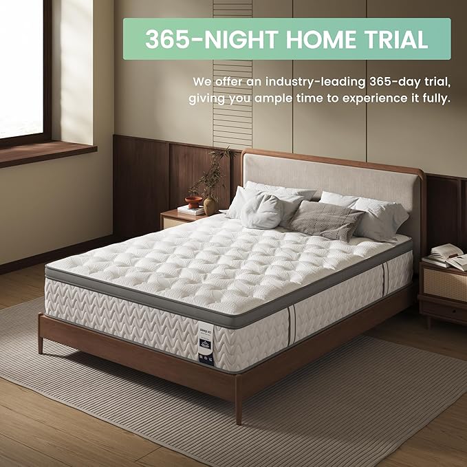 Queen Mattress 10 Inch, 5-Zone Deep Sleep Firm Mattress with Extra Lumbar & Shoulder Support, Hotel Collection Hybrid Mattresses Pain Relief - Fiberglass Free - No Odor - 365 Night Trial