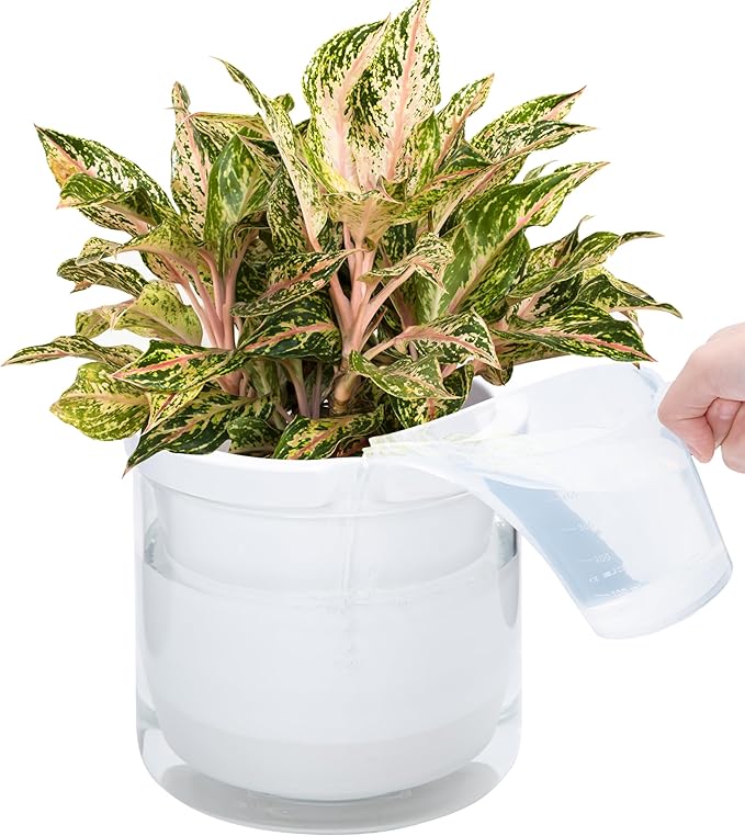 D'vine Dev 8 Inch Design Self Watering Planter for Indoor Plants, White Terracotta Pots with Cylinder Glass Cup, 37-X-C-2