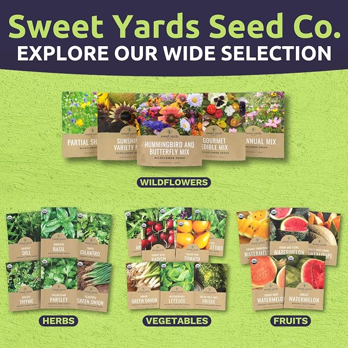 Southwest Regional Mix - Large 1 Ounce Packet - 15,000 Flower Seeds for Planting - Wildflower Mix