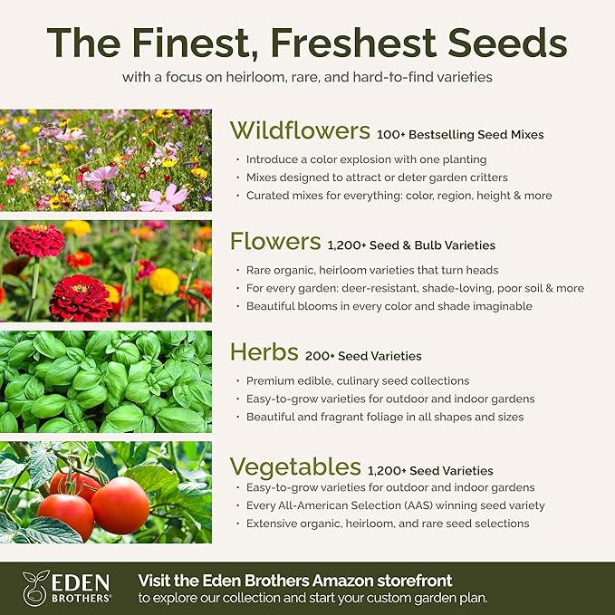 Eden Brothers New Mexico Wildflower Mixed Seeds for Planting, 1/4 lb, 120,000+ Seeds with Yarrow, Coreopsis | Attracts Pollinators, Plant in Spring or Fall, Zones