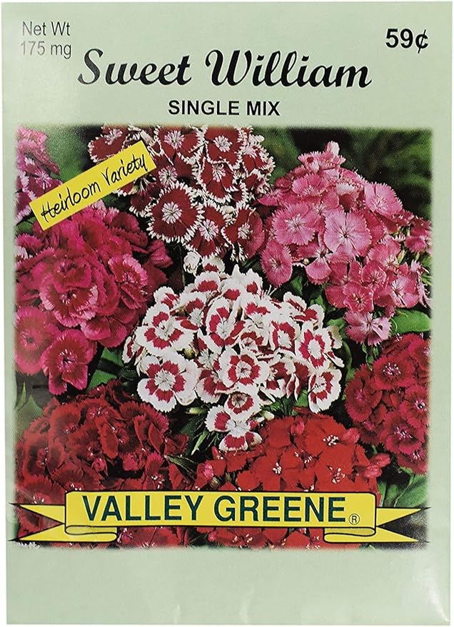 Set of Flower Seed Packets! Flower Seeds in Bulk - Great for Creating The Garden of Your Dreams! (100, Sweet William - Single Mix)