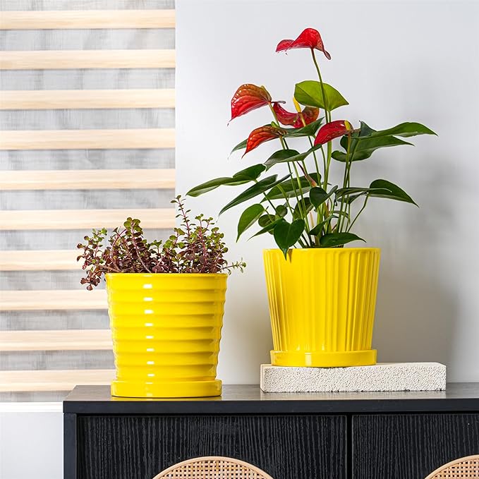 Ton Sin Plant Pots, 6 Inch Flower Pots for Plants,Ceramic Planter with Drainage Holes,Indoor Planter Pots with Saucer,Outdoor Garden Pots (Yellow, 4 Pack)