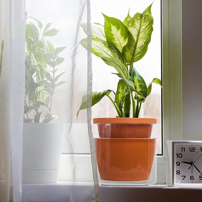 D'vine Dev 6 Inch Design Self Watering Pot for Indoor Plants, Terracotta Planter with Cylinder Glass Cup, 37-X-B-1