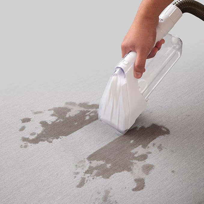IRIS USA Carpet Spot Cleaner Machine with Auto Spray for Low Pile Carpets, Couch, Sofa, Upholstery, Car Detailing,Shallow Berber Rug, Lightweight Portable Chemical-Free Stain Remover 500mL Water Tank