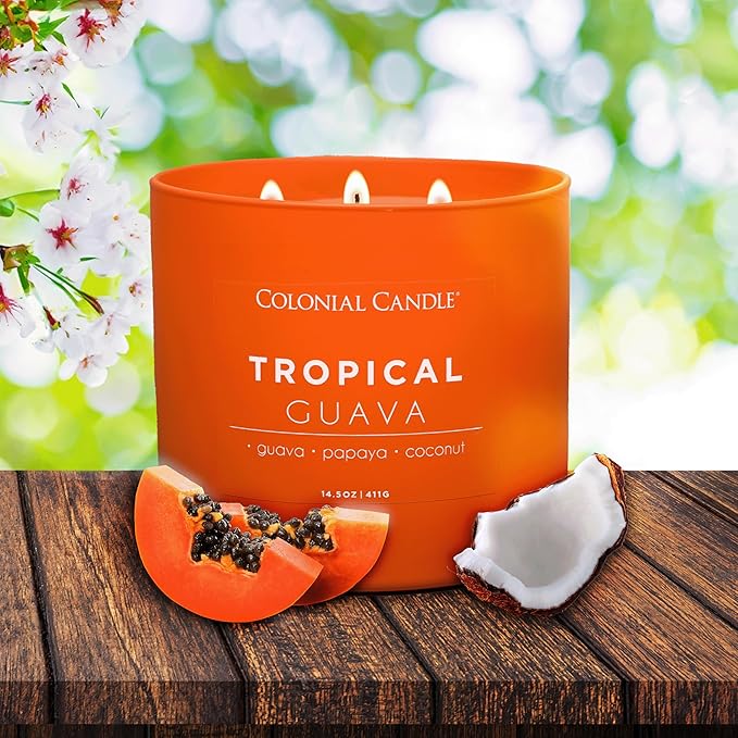 Colonial Candle Tropical Guava Scented Jar Candle, Pop of Color Collection, 3 Wick, 14.5 oz - Up to 60 Hours Burn