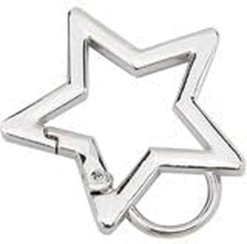 2Pcs Silver Star Shaped Stainless Steel Keychain Clip Carabiner Snap Hook Holder Star Carabiner Hook Clip Key Holder Carabiner Clip for Keys and Wallet with Key Chain Rings Accessories, Car Keychain