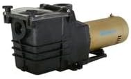 Doheny's Pool Pro Plus In-Ground Swimming Pool Pumps (1 HP)