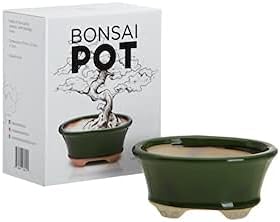 Leaves and Soul Complete Bonsai Kit – Green Oval Ceramic Pot with Soil, Fertilizer, 160ft Training Wire, Cutter & Storage Bag | DIY Bonsai Repotting Starter Kit for Tree Growing