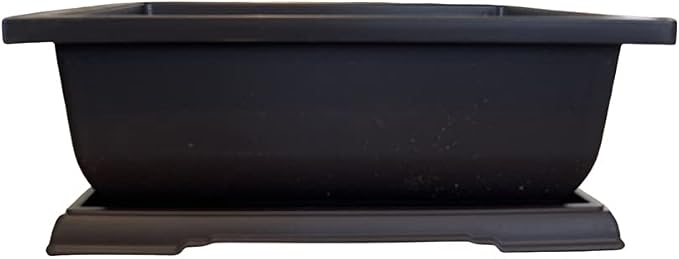 CZ Grain Large Bonsai Pot and Drip Tray - 11 inch Rectangle Container with Tray - Durable Container for Indoor and Outdoor Plants - Planter for Bonsai Trees, Indoor Plants & Herbs