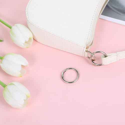 20pcs 1 Inch Round Spring O Rings Round,Meta Carabiner Clip Snap,Alloy Purse Clip Keychain Ring for Keyrings Buckle,Bags,Purses