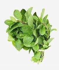 Set of 5 Vietnamese Vegetables Ngò GAI, Rau Càng Cua, Rau tía tô, Kinh giới, húng lũi Culantro Thai Parley, peperomia pellucida Plant Seeds and Vietnamese Perilla Seeds 1000++ Seeds/Bag