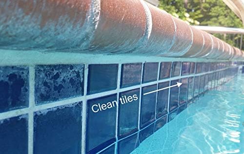 Pool & Tile Cleaner, Guardian (1 gal) - Removes Scale & Scum Line, Non-abrasive, Pumice Stone Not Req'd PLUS Filter Cleaner (1 qt) - 2pk.