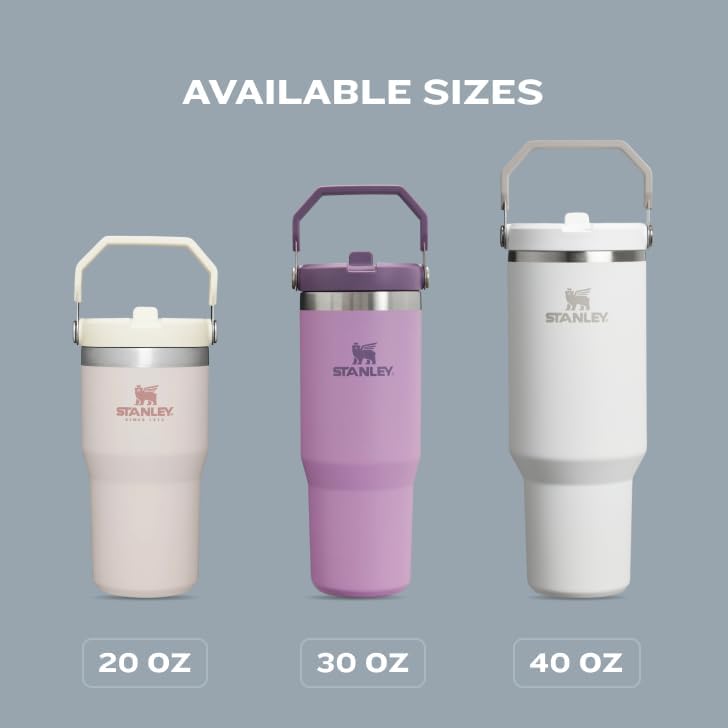 Stanley IceFlow 20 oz Flip Straw Tumbler - Insulated Stainless Steel Water Bottle | Leak Resistant | Azure