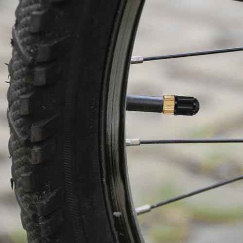 30pcs Bike Valve Adapter, Bike Pump Adapter, Brass Presta to Schrader Valve Adapter with 10 Presta Valve Caps & 10 Schrader Valve Cap - Bike Pump Adapter Set