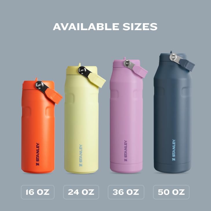 Stanley IceFlow 2.0 Water Bottle - 24 OZ Insulated Stainless Steel | Lightweight, Leak-Resistant & BPA-Free | Plum