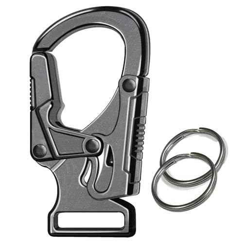 Ahiller Carabiner Clip,1.9'' Alloy Car Keychain Clip with 2 Key Ring,Outdoor Hooks,Small Key Holder for Man and Women
