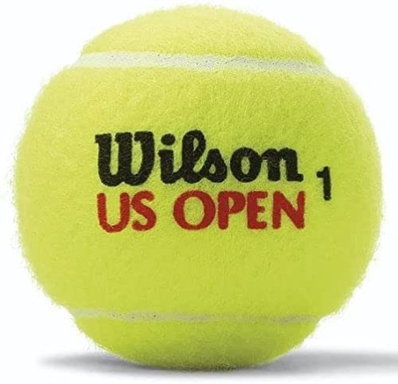 WILSON US Open Tennis Balls - Extra Duty, Single Can (4 Balls)