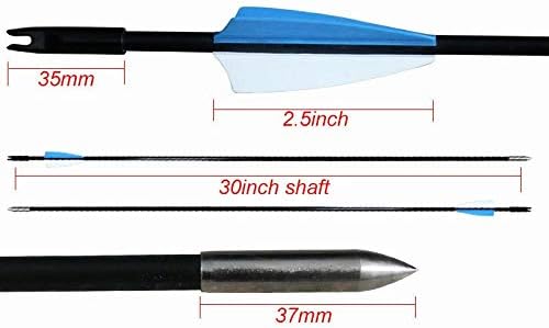 GPP Archery Beginner's First Arrows (30" Fiberglass Target Archery Arrows) - 12 Pack