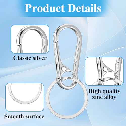 10 Packs Metal Keychain Carabiner Clip, Stainless Steel Heavy Duty Key Chain, Keyring Key Ring Chain Clips Hook Holder Key Organizer for Men Women,Silver