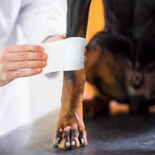 12 Rolls White Athletic Pre Wrap Tape,2 Inch x 5 Yards Self Adhesive Bandage Wrap Cohesive Wrap Bandages for Athletic Baseball Wrist Tape,Sports,Pets,Wrist,Ankle,Hands Knees (White)