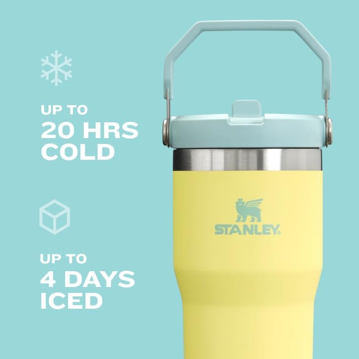 Stanley IceFlow 2.0 Tumbler - 20 oz Insulated Water Bottle with Flip Straw & Handle | Meadow Color