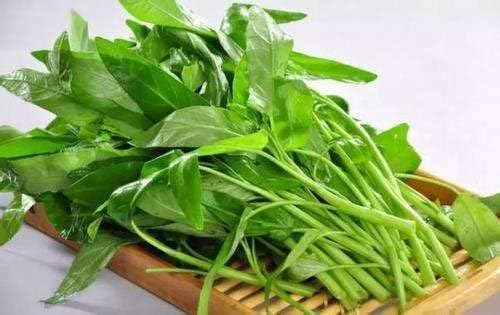 1000 Kangkong Seeds for Planting – Rau Muong Seeds Vietnam Variety – Kong Xin CAI Ong Choy Asian Vegetable for Filipino & Vietnamese Garden Growing